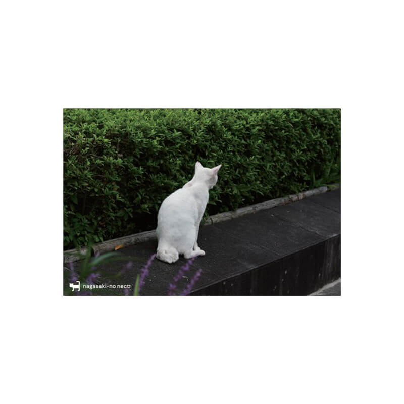 Rakuten - nagasaki-no neco 長崎の猫雑貨 post card 074