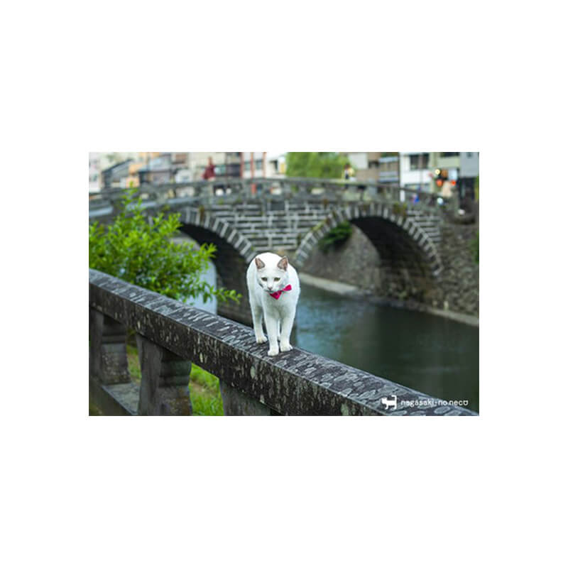 nagasaki-no neco 長崎の猫雑貨 post card 087