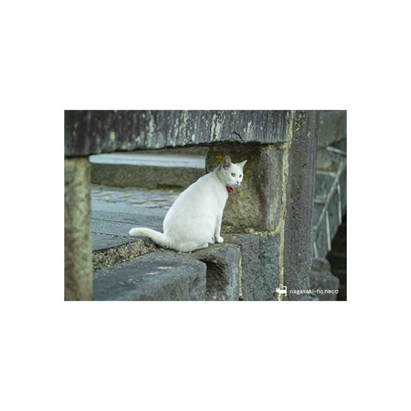 Rakuten - nagasaki-no neco 長崎の猫雑貨 post card 089
