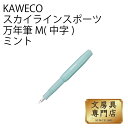 カヴェコ KAWECO スカイラインスポーツ 万年筆 M(中字) ミント