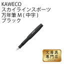 KAWECO スカイラインスポーツ 万年筆 M(中字) ブラック