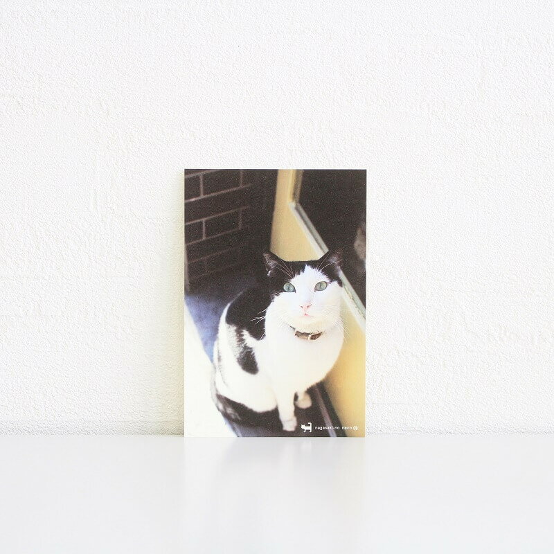 nagasaki-no neco 長崎の猫雑貨 post card ポストカード 006