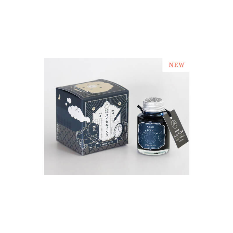 寺西化学工業 ギター 大正浪漫 スモーキーネイビー