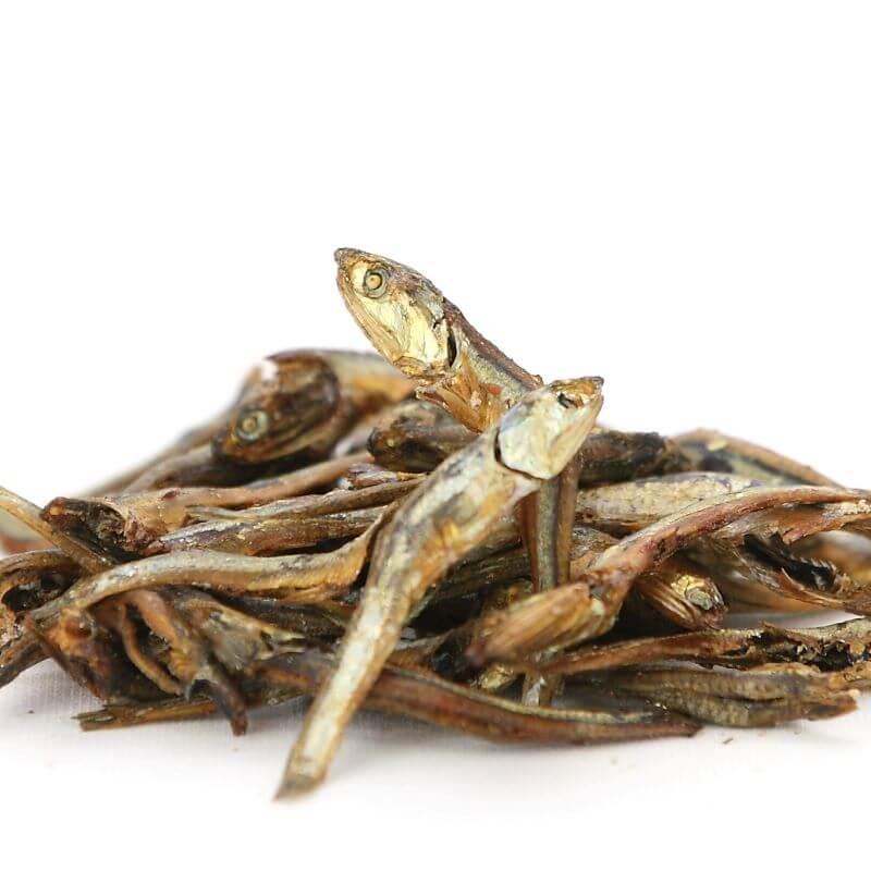 Ĺ�곤�� ����ꤳ�����á��彣����̣