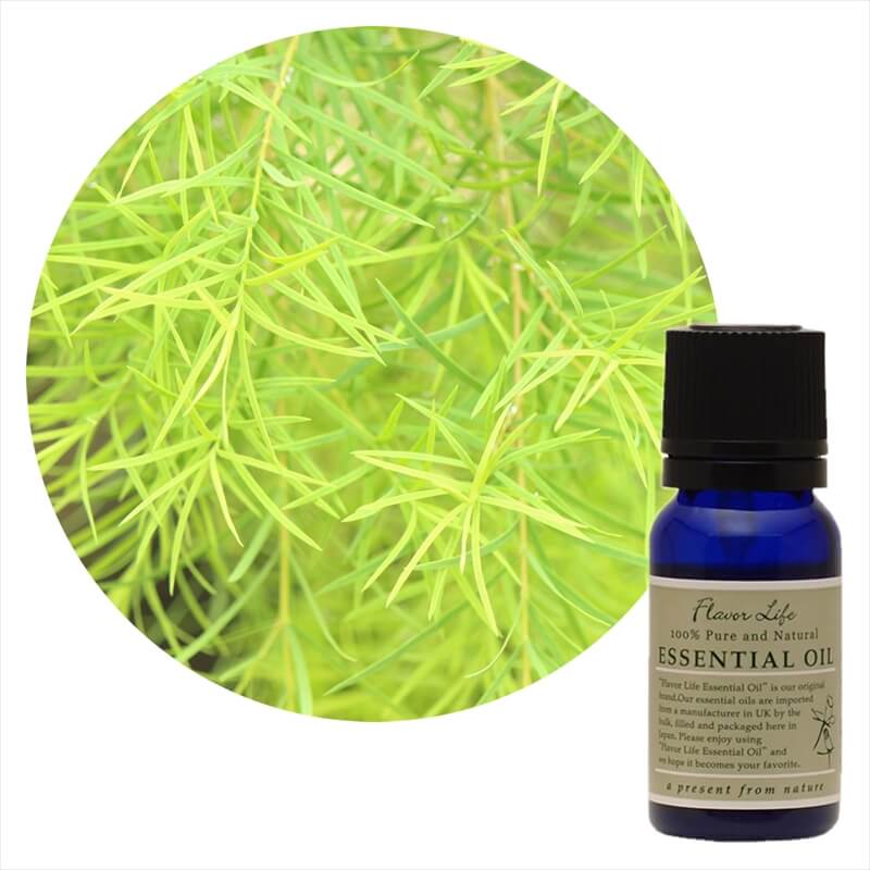 フレーバーライフ 精油 ティートリー 10mL