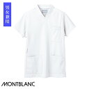  XNu  72-611mjpnMONTBLANC Zu Ô Ōt NjbN jtH[