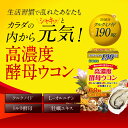【アウトレット訳あり】高濃度酵母ウコン(30包)お一人様1個限り【ISDG 医食同源ドットコム直販】牡蠣エキス/クルクミノイド95mg/L-オルニチン/トルラ酵母80mg/乱れがちな生活習慣のケアに