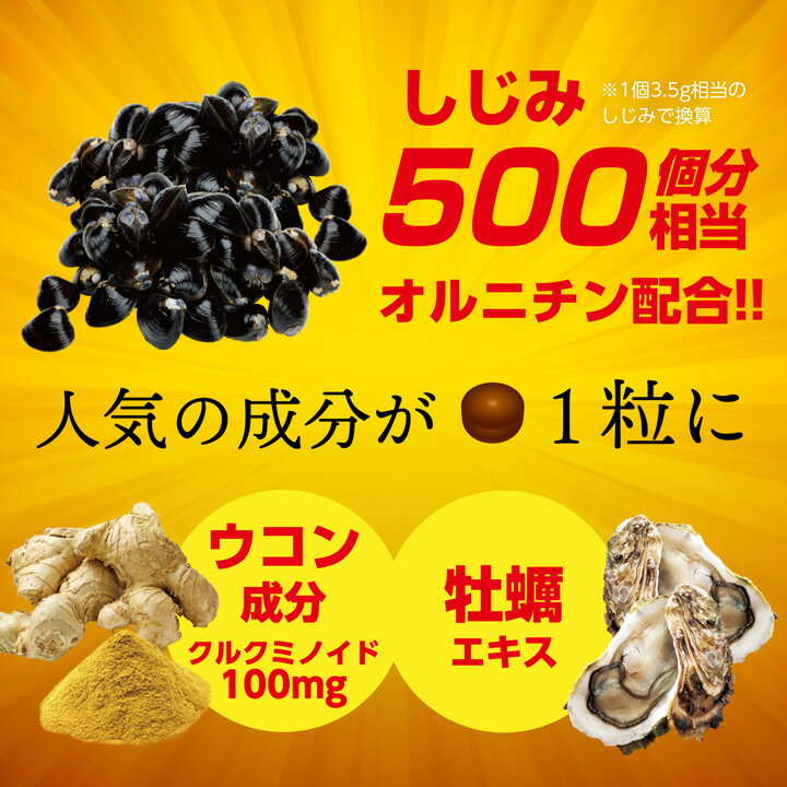 ウコン サプリメント 高濃度しじみウコン 60粒 30日分 サプリ しじみ500個分 L-オルニチン 牡蠣エキス 肝臓エキス 亜鉛酵母 飲み会 新年会 忘年会【ISDG 医食同源ドットコム】 isdg 医食同源 ドットコム 2