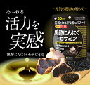 【訳あり/アウトレット】黒酢にんにく+セサミン(R)【ISDG 医食同源ドットコム直販】