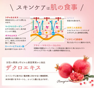 【送料無料】Medifood クリアモイストジェルローション（120ml）【ISDG 医食同源ドットコム直販】メディフード スーパーフルーツコスメ　クリアな透明感を求める方へ※お一人一個限り