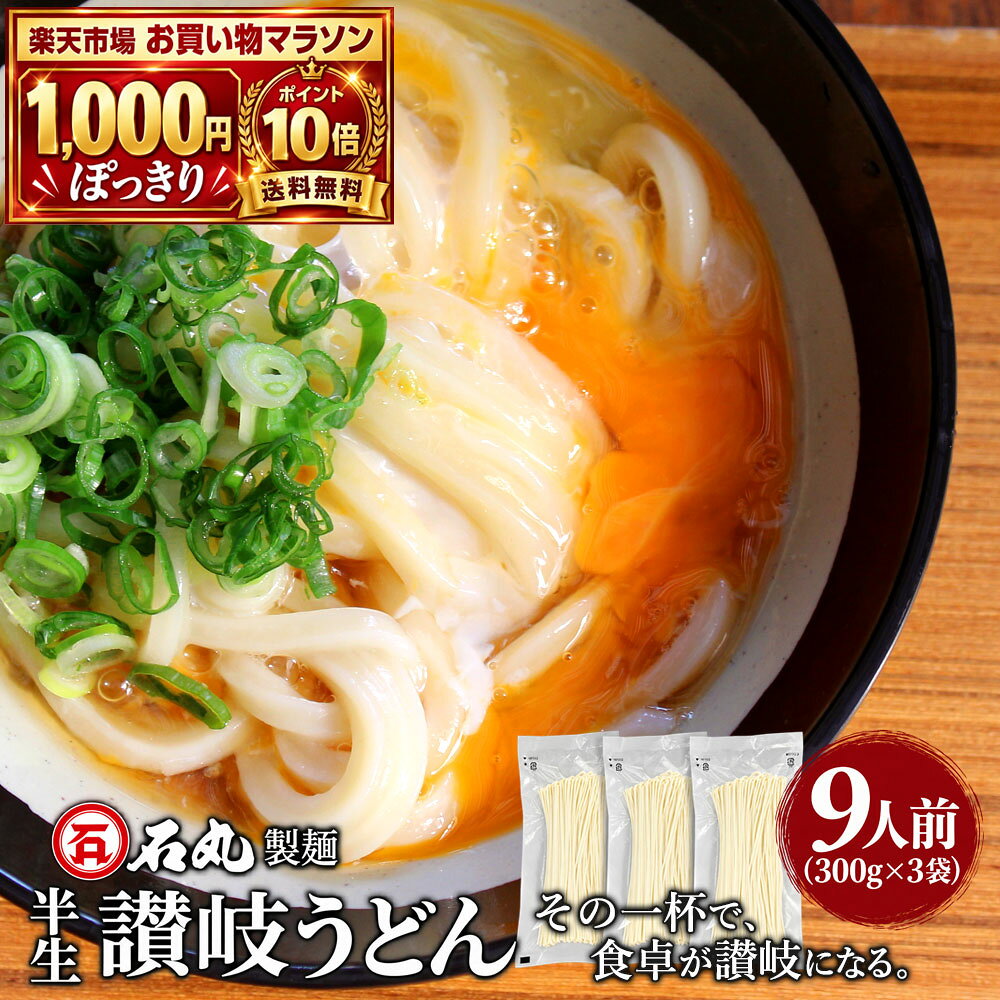 半生 本場 讃岐うどん 300g ×3袋 9人前 大容量 麺のみ 半生うどん