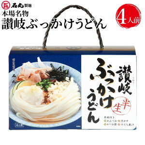 讃岐ぶっかけうどんセット 220g 合計440g 4人前 半生うどん つゆ付 具材付 ぶっかけうどん うどん 讃岐うどん さぬきうどん 贈り物 おみやげ お土産 手土産 お歳暮 ギフト 御歳暮 お歳暮ギフト 御歳暮ギフト 歳暮 プレゼント 石丸製麺 香川 四国 うどん県 常温 B-3