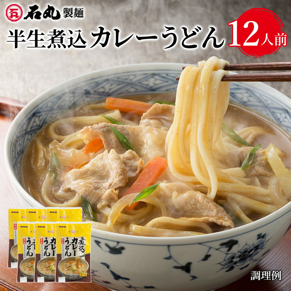 半生煮込カレーうどん 12人前 半生うどん 煮込みカレーうどん カレーうどん 讃岐うどん さぬきうど