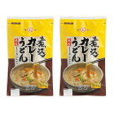 【期間限定1000円ポッキリ＆ポイント10倍】 送料無料 半生煮込カレーうどんお試しセット 2袋 4人前 半生うどん 下ゆで不要 讃岐うどん さぬきうどん お取り寄せ 石丸製麺 四国 香川県 常温 送料無料 お試し HP-9 3