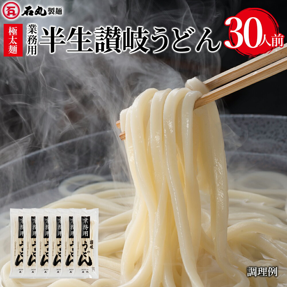 業務用半生讃岐うどん 500g 6袋 30人