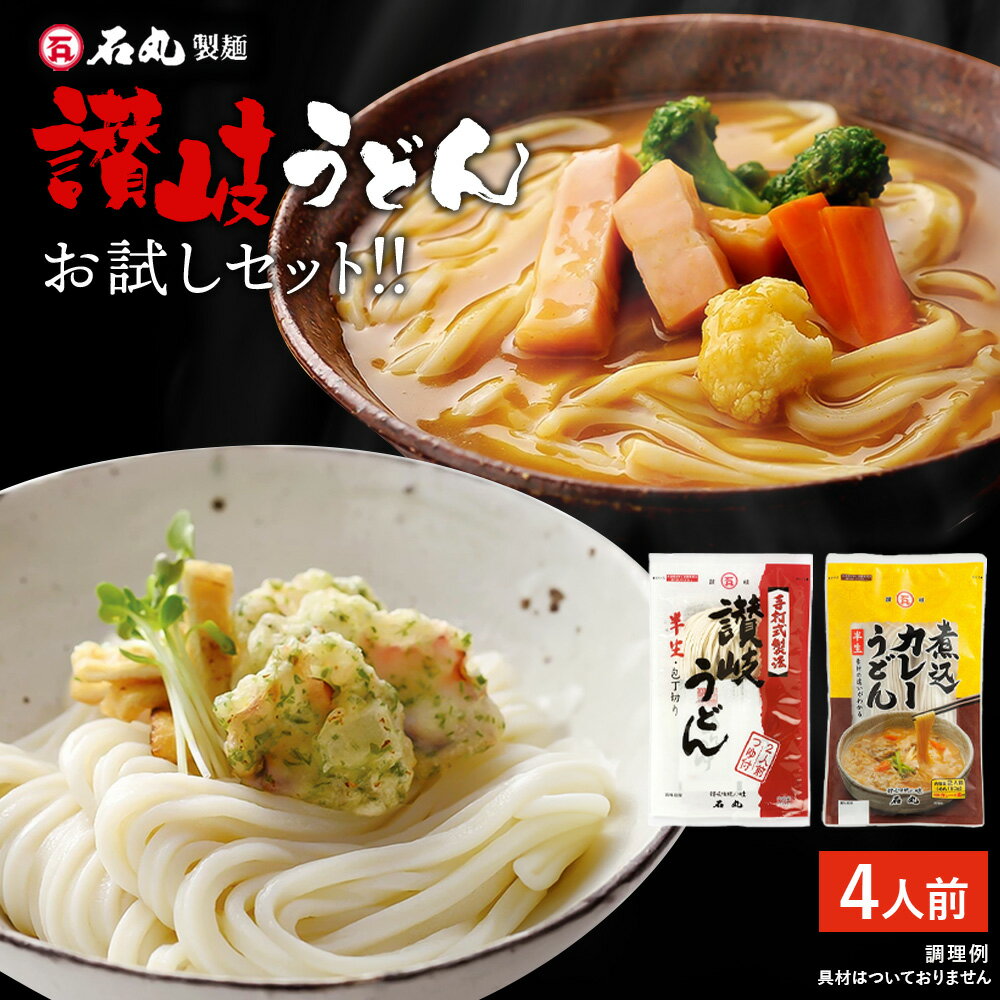 送料無料 讃岐うどんお試しセット 4人前 半生うどん 半生めん カレーうどん 讃岐うどん さぬきうどん お取り寄せ 手…