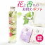 送料無料 お供え ハーバリウム&線香ギフトセット カーネーション × 白梅とラベンダーの香り 仏花 線香 進物線香 仏壇用 花ギフト お供え花 セット 高級線香 沈香 新仏花 初盆見舞い 喪中見舞い 法事 法要 お供え花 仏事ギフト カーネーション仏花 新仏花 ボトル仏花 お線香