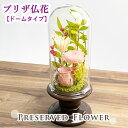 【クーポン配布 7/19~26】プリザーブドフラワー 陽だまり ピンクローズ 【ドームタイプ】 仏花 お供え 枯れない花 お仏壇 仏壇 供え花 献花 法要 喪中見舞い お供え物 ガラスドーム| 仏壇用 法事 ブリザード 一周忌 ギフト お供え花 ブリザードフラワー お彼岸 お悔やみ お