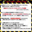 isis-outlet:10006917のサンプル画像2
