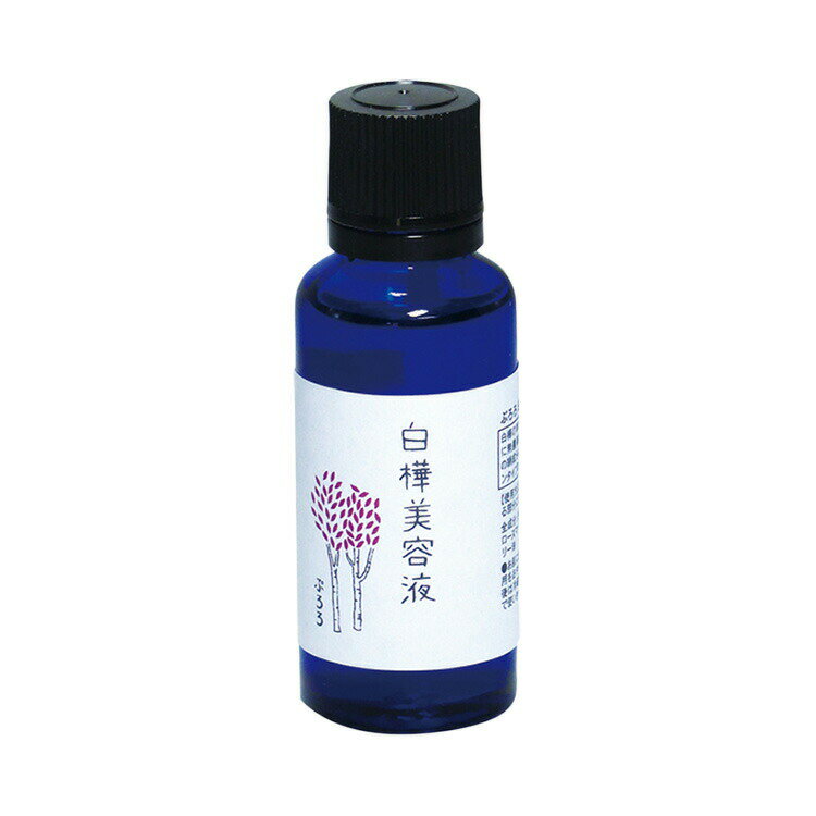 【レビューで10％off】ぷろろ健美堂 ぷろろ白樺美容液　30ml≪メール便不可≫【無添加 アルコールフリー パラベンフリー】 isis-10005160 アイシス・オーガニック生活便 サンプル画像3