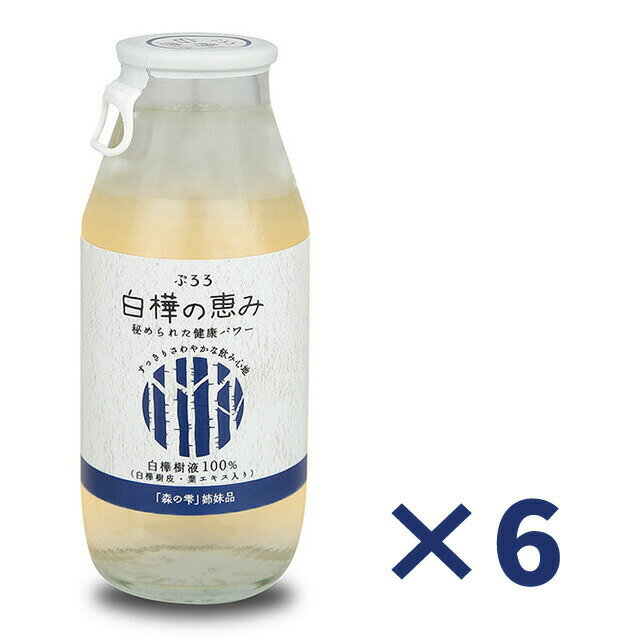 【レビューを書いて次回10％割引クーポンゲット】ぷろろ健美堂 ぷろろ白樺ドリンク「ぷろろ白樺の恵み」180ml×6本セット　≪メール便不可≫のサムネイル