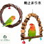 送料無料 鳥止まり木 ブランコ リンゴの木 鳥おもちゃ 鸚鵡 インコおもちゃ 遊園地 ペット遊宅 純天然 ..
