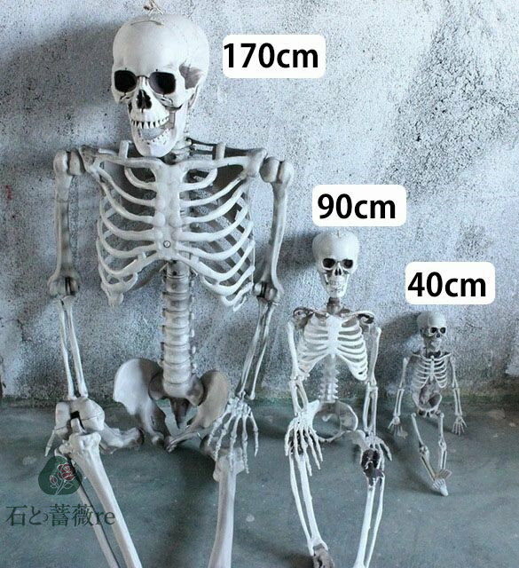 送料無料 ディスプレイガイコツ 【170cm】 スケルトン ドクロ 怖い ホラーディスプレイ 吊り上げ飾り ハンギングスケルトン ハロウィン 置物 吊り上げ骸骨 ホラーハンギング お化け屋敷道具 雑貨 Halloween 楽天海外通販