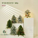 送料無料 クリスマスツリー 卓上 40cm ミニツリー クリスマス 飾り オーナメント クリスマス雑貨 簡単な組立品 部屋 商店 クリスマスツリー セット 可愛い イルミネーション 店舗 装飾 北欧 インテリア 人気 シンプル メリークリスマス おしゃれ 玄関に 飾り プレゼント