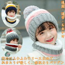 子供帽子 女の子 ネックウォーマー セット ニット帽子 キッズ 冬 子供帽子 ニットキャップ ワッチキャップ マフラー スノボー スキー 子供 防寒 ジュニア ...