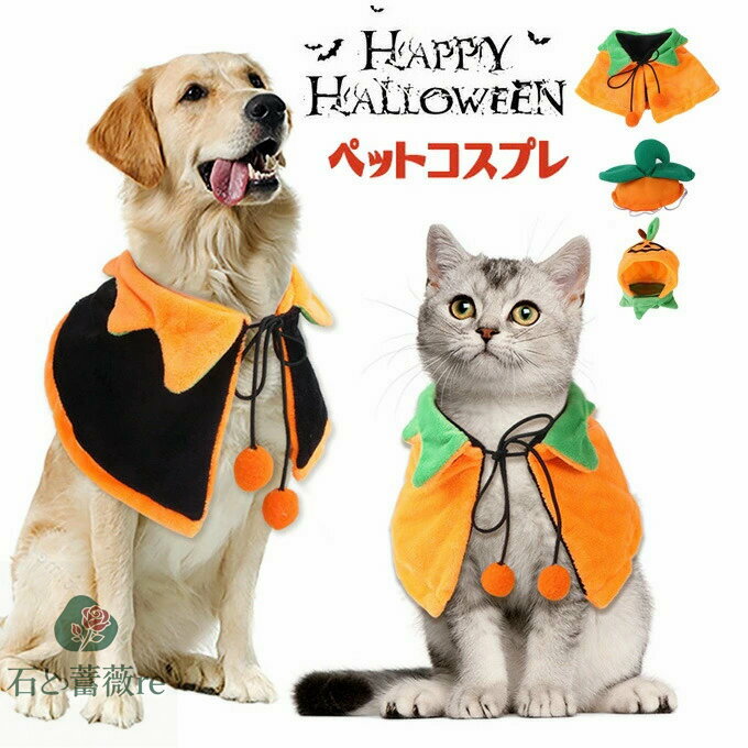 Фre㤨֥ϥ  ڥå 塼 ޥ ˹ 2å    ǭ ڥå ѿȥå ץ  ڥå ץ ǭ Ҹ  ̵פβǤʤ2,330ߤˤʤޤ