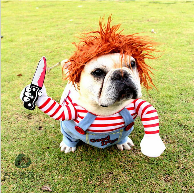 ϥ   ǭ  ڥå ץ ɥå åȥ ͤ  ǭ ˹դ  İ 襤   淿 ...