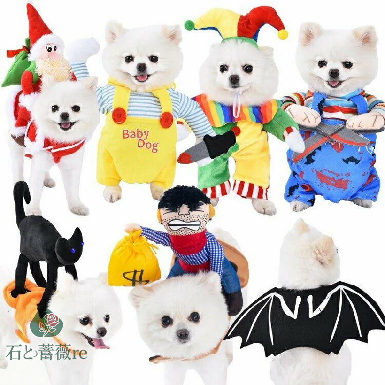 Фre㤨֥ڥå ǭ  ϥ ץ ڥå ѥץ ԥ ± ԥ˥ץ 顼 ޥ 顼 ܡ 󥿥  襤 ưʪ ڥå 塼 İ ̿ڥå ץ쥼 ե ѡƥ hallowee  S M L XLפβǤʤ1,400ߤˤʤޤ