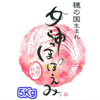 女神のほほえみ5K