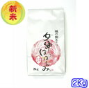 【新米入荷】令和元年産 愛知県産 女神のほほえみ 2キロ入り...