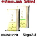 人気ランキング第28位「お米の専門店　石うす屋」口コミ数「38件」評価「4.63」【特別栽培米】令和5年産 宮城県産 つや姫 10キロ(5キロ×2袋)