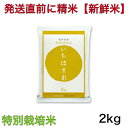 【特別栽培米】令和5年産 福井県 いちほまれ 2キロ入り