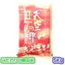 【こだわりの棚田米】土佐天空の郷（令和元年産 高知県県本山町 にこまる） 5キロ入り