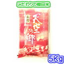 【食味ランキング特A・棚田米・特別栽培米】土佐天空の郷(令和6年産 高知県県本山町 にこまる) 5キロ入り