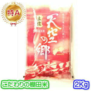 【食味ランキング特A・棚田米・特別栽培米】土佐天空の郷(令和6年産 高知県県本山町 にこまる) 2キロ入り