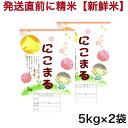 人気ランキング第10位「お米の専門店　石うす屋」口コミ数「34件」評価「4.88」【発送直前に精米】令和5年産 愛知県産 にこまる 10Kg(5キロ×2袋)