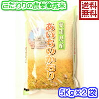 あいちのかおり10K