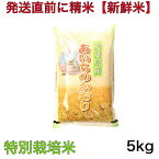 【特別栽培米】令和5年産 愛知県産プレミアムあいちのかおり 5キロ入り