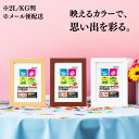 ★お買い物マラソン期間限定セール品★ 【メール便配送】ナカバヤシ デジタルプリントフレーム 2L/KG判 ナチュラル ブラウン ホワイト フ-DPW-2L 送料...