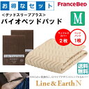 お得なセレクト3点セット セミダブル ライン&アースN バイオベッドパッド 抗菌・防臭加工 洗える カラー4色 すべり止めゴム付 洗濯ネット付 送料無料(3)