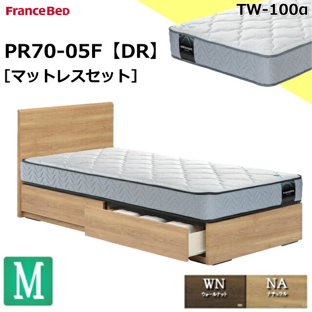 特別価格 ベッドセット フランスベッド セミダブル PR70-05F DR TW-100α TW100 マットレス ミディアム ソフト シンプルデザイン 薄型ヘッドボード ドロアー 引出し 収納 スノコ床板 セミダブルサイズ マットレスセット ベットセット セット 日本製 送料無料 設置無料