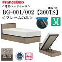 フランスベッド 【送料無料】 セミダブル ベッド フレームのみ BG-001 002 300TS フレーム シンプルデザイン 薄型ヘッドボード コンセント キャ...