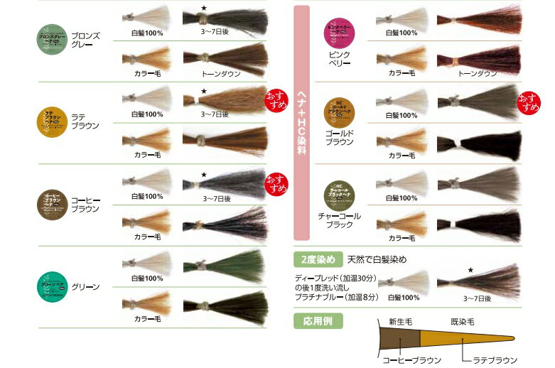 ジャパンヘナ ラテブラウンヘナ 100gの紹介画像3