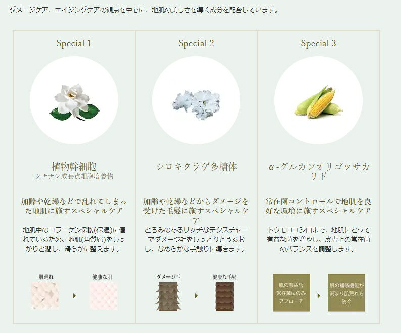 オーガニックアース バームワックス 45g island-b-10013440 愛らんどびゅーてぃ サンプル画像3
