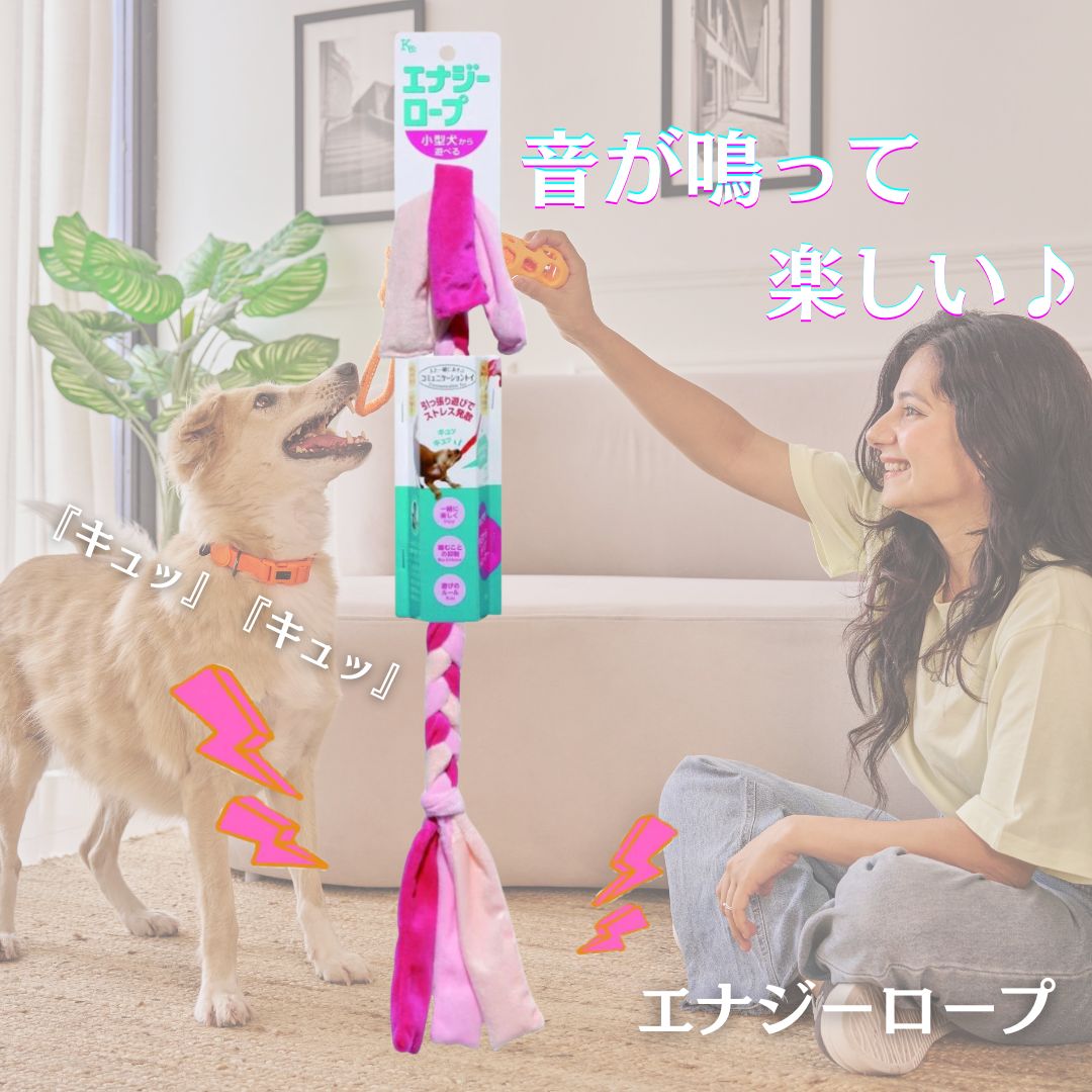 ���ʥ���������C �� ������ ������� Ĺ�� ɳ ����ĥ��礤 �����Ĥ� ������ �淿�� ��� ���סڥԥ󥭡���