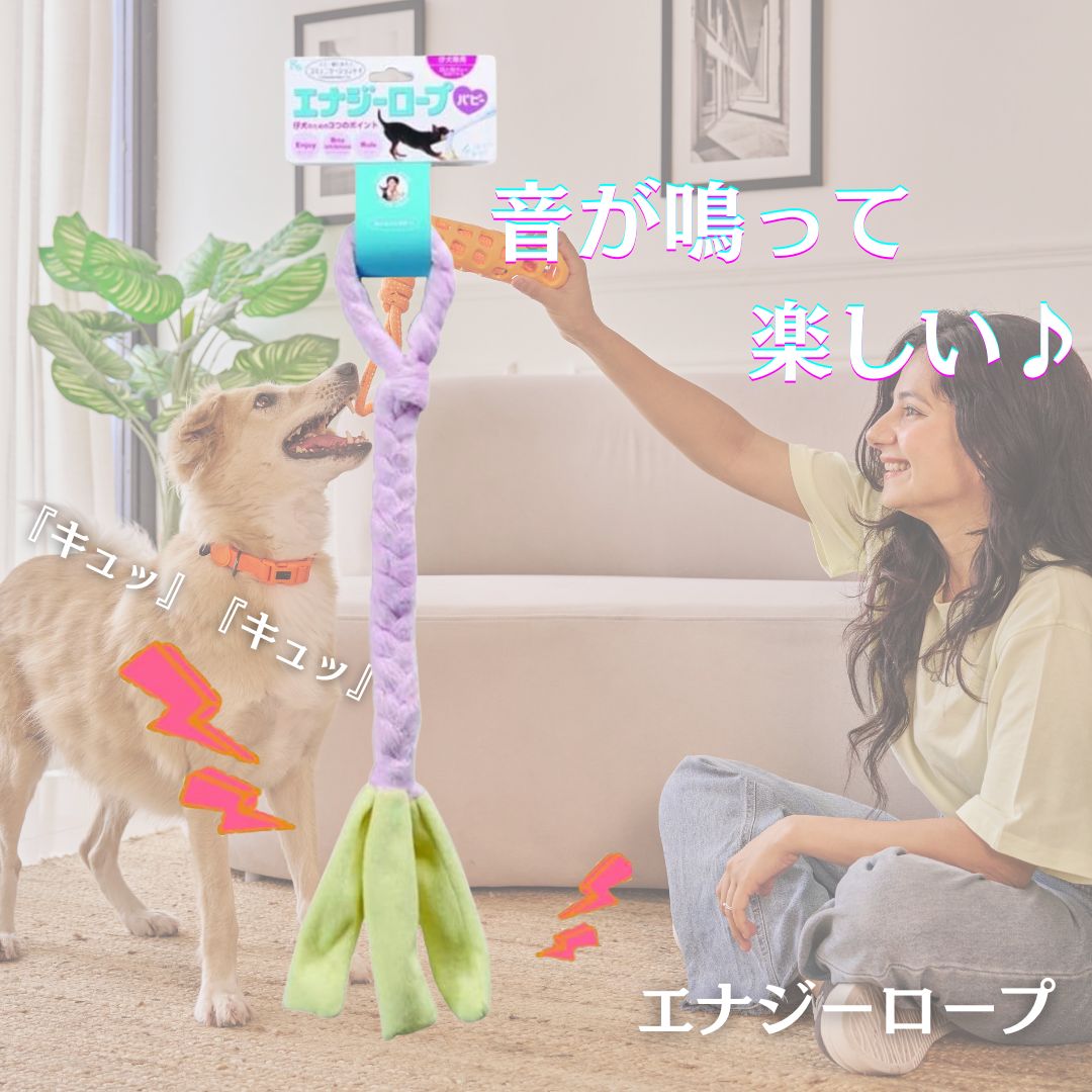 ���ʥ��������� �� ������ ������� Ĺ�� ɳ ����ĥ��礤 �����Ĥ� ������ �淿�� ��� ���סڥ٥ӡ��ԥ󥯡�